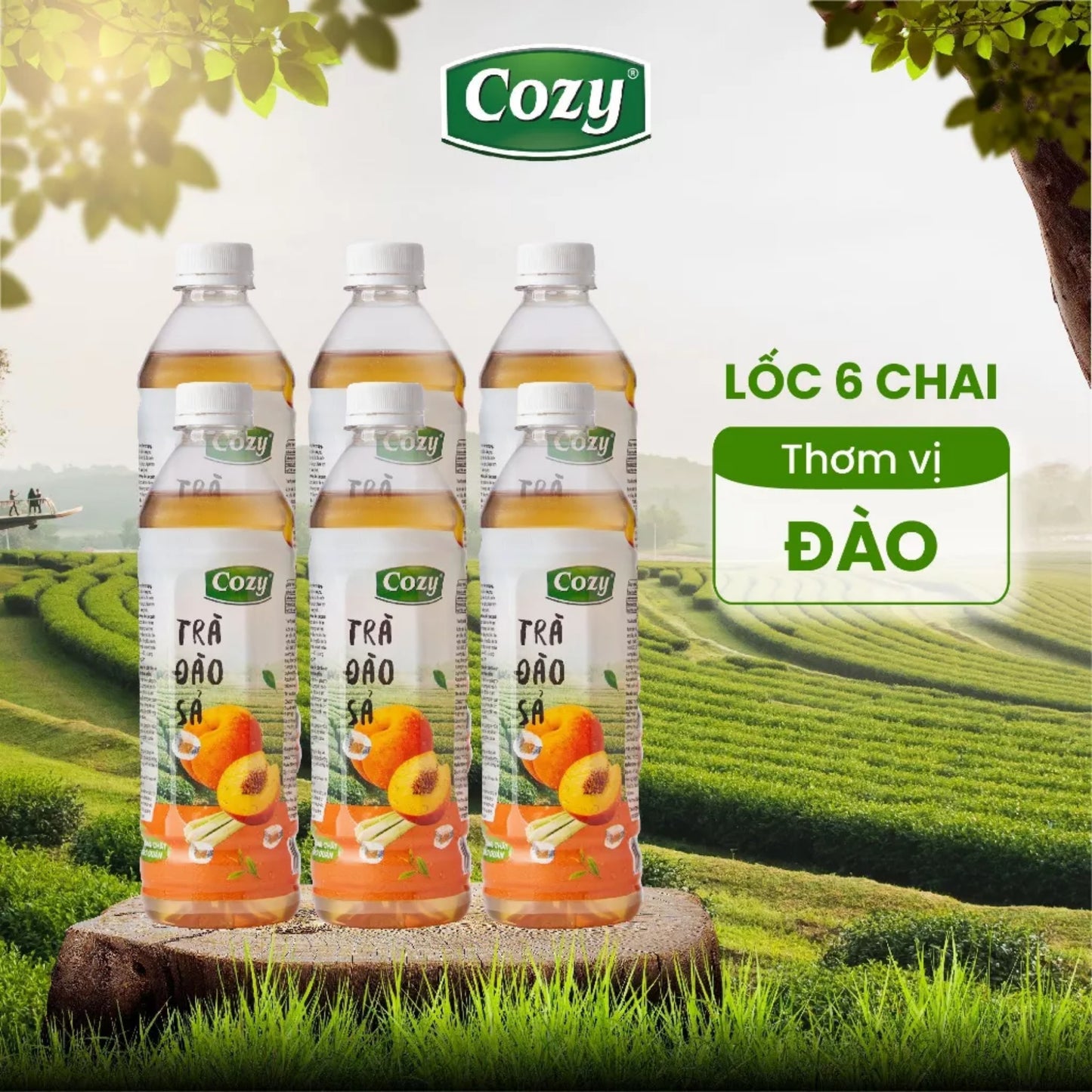 Trà Cozy Đào Sả (6 chai)